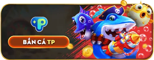 Hướng dẫn chi tiết cho người mới bắt đầu tại 8ki Bet